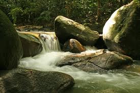 Ulu Bendul Recreational Forest